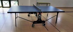 mesa ping pong