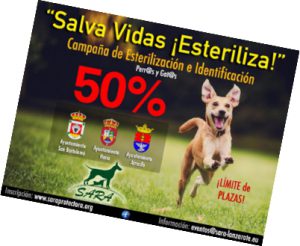 Camapaña de Esterilización