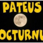 Pateus Nocturnus