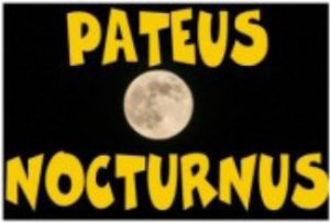 Pateus Nocturnus