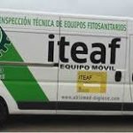 iteaf