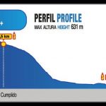 perfil medium 2017