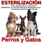 Cartel Campaña Esterilización